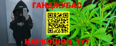 шишки Кингисепп
