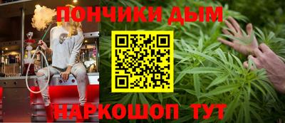apvp Камышлов