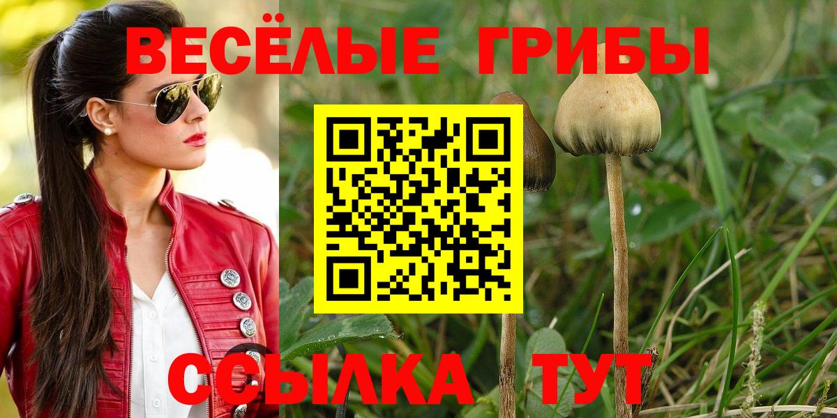 Псилоцибиновые грибы Psilocybine cubensis  Псилоцибиновые грибы мухоморы  Балашов  Вход с VPN 