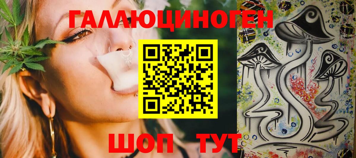 Псилоцибиновые грибы Psilocybine cubensis Балашов